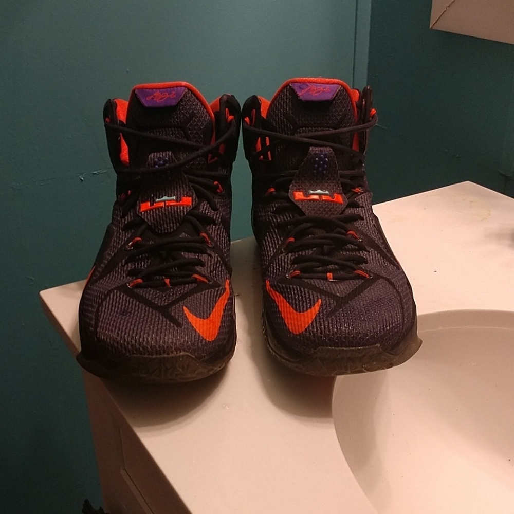 Lebron 12 "Instinct"